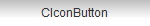 CIconButton