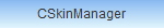 CSkinManager